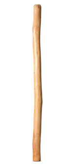 Natural Finish Didgeridoo (TW1497)